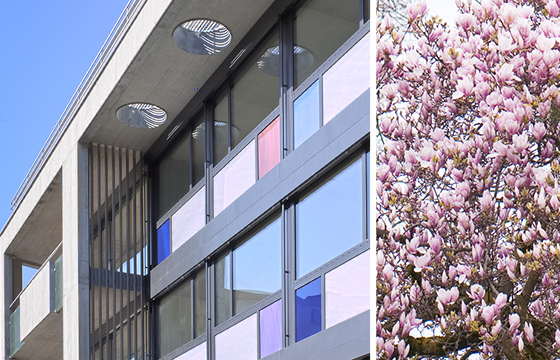 marchstein - Zwischen See und Bergen wohnen